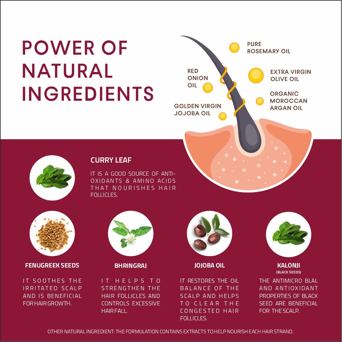 Likewise Onion Shampoo for Hair Growth and Hair Fall Control