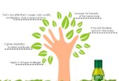 GEO Natural Panch Tulsi: Concentrated Extract Drops of 5 Rare Tulsi for Natural Immunity Boosting & Cough and Cold Relief