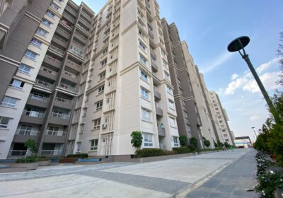 WhatsApp-Image-2025-04-11-at-4.38.08-PM